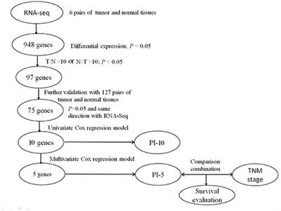 Prognosis Prediction of Colorectal Cancer Using Gene Expression Profiles